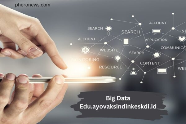 Big Data Edu.ayovaksindinkeskdi.id